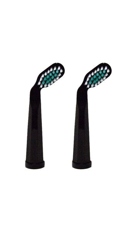 Replacement Toothbrush Heads Perio Black (Pack of 2)