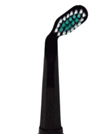 2-Pack Brush Heads Perio Black